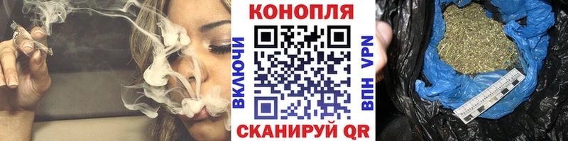 Конопля сатива  продажа наркотиков  Чаплыгин 